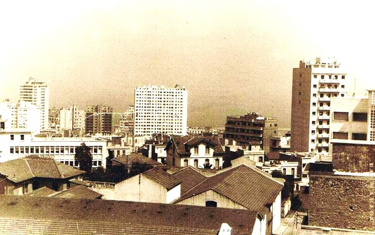 05- Vue generale .jpg